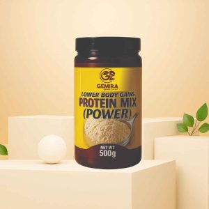 Lower Body Gain Protein Mix Powder